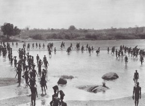 Afrika: Morus bouwt een brug bij Amadi door Hugo Adolf Bernatzik