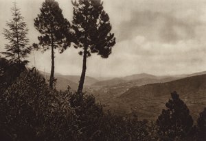 Mexico: Huixquilucan (zwart-wit foto) door Hugo Brehme