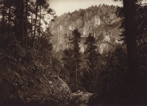 Mexico: La Canada, Contreras, D F (z/w foto)