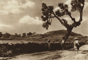 Mexico: Patzcuaro, El Calvario, staat Michoacan (zwart-wit foto) door Hugo Brehme