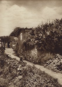 Mexico: Pittoreske hoek in San Angel D F (z/w foto) door Hugo Brehme