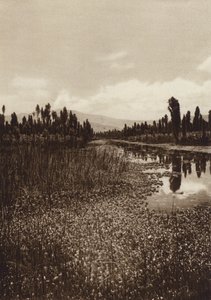 Mexico: Xochimilco, Een van de belangrijkste kanalen (z/w foto)