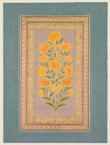 Bloeiende Goudsbloem door Hunhar II