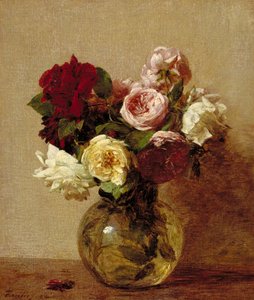 Rozen, 1884
