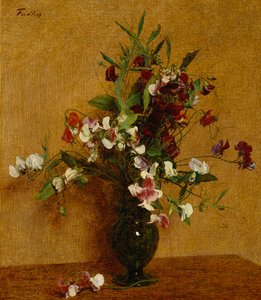 Lathyrus; Pois de Senteur, 1888
