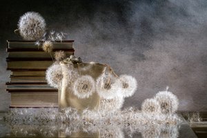  door Igor Kopcev