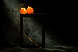  door Igor Kopcev