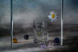  door Igor Kopcev