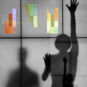 Samenvatting: Family Shadows