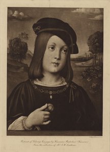 Portret van Federigo Gonzaga