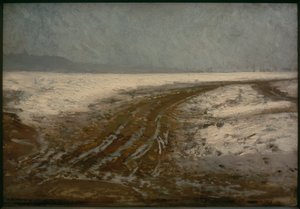 Weg (straat in de sneeuw)
