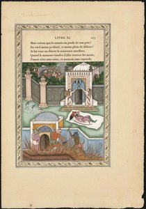 Songe dun habitant du Mogol De droom van de Mogol, 1837-1839 door Imam Bakhsh Lahori
