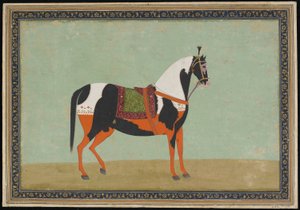 Een Paard, Albumblad, 19e eeuw door Indian School
