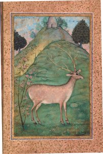 Hert in een landschap, c.1595 door Indian School