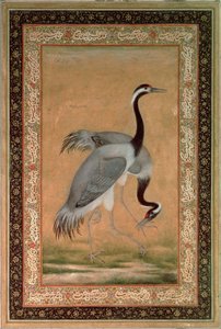 Kraanvogels door Mansur, Jahangir Periode, Mughal door Indian School