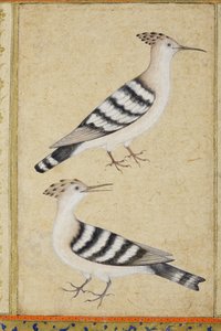 Hoppen, c.1590 door Indian School