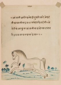 Paard door Indian School