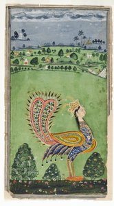 Mythische pauw met een vrouwenhoofd, Hyderabad, ca. 1750