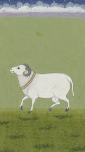 Ram met gouden halsband, 1700-1799 door Indian School