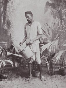 Bombay / Mumbai: Tuinman (z/w foto)