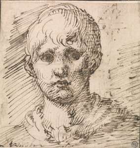 Hoofd van een jongen door Inigo Jones