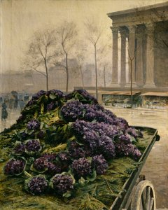 Viooltjes uit Nice, 1902
