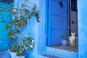 Een straatbeeld in Chefchaouen, de blauwe stad van Marokko door Ira Block