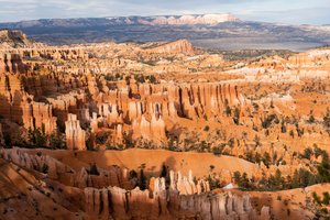 Hoodoos - torenspitsen gecreëerd door erosie - in Bryce Canyon National Park in Utah, 2019