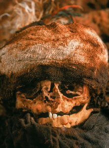 De schedel van een baby die werd gebundeld en begraven