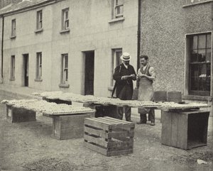 Kleipijpen maken, Drogheda