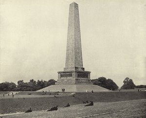 Het Wellington Monument, Phoenix Park door Irish Photographer