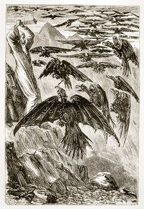 St. Patrick en de demonische vogels, uit The Trias Thaumaturga, of Three Wonder-Working Saints of Ireland, door Mary Cusack, gepubliceerd ca. 1890s door Irish School