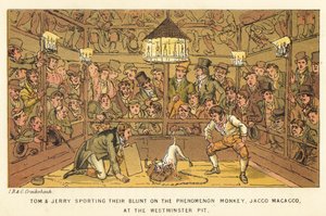 Tom en Jerry besteden hun geld aan de Fenomeen Aap, Jacco Macacco, in de Westminster Pit