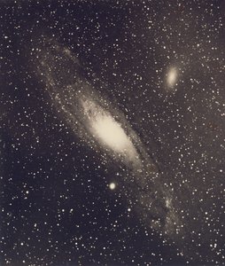 Nevel, 31m. Andromedae