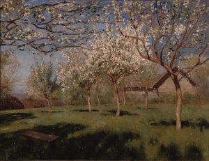 Bloeiende appelbomen