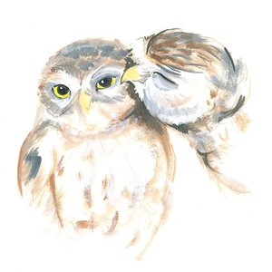 Aanhankelijke uilen