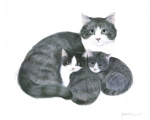 Kat en twee kittens