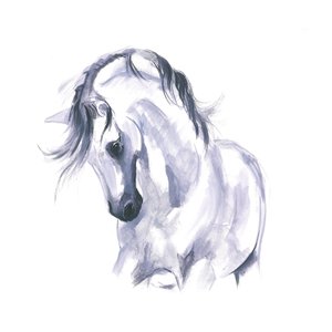 Studie van een paard in beweging