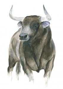De kracht en elegantie van een stier