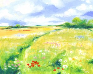 Weide met wilde bloemen
