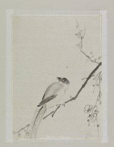 Vogel op een tak van een kersenboom door Ishikawa Kazan