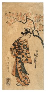 Arashi Tamagashiwa