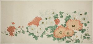 Chrysanten