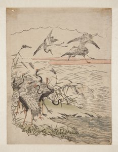 Terugkerende Kraanvogels door Isoda Koryusai