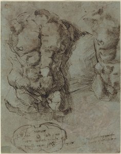 Studies van een Mannelijke Torso door Italian 16th Century