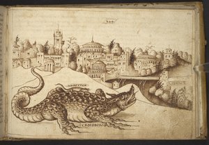 Een krokodil (
