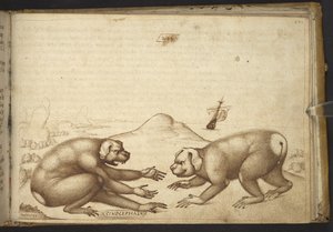 Hondachtige wezens die vechten (