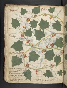 Add MS 41623 f.53v 