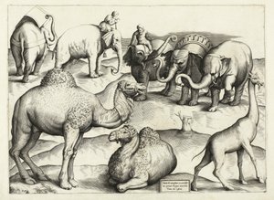 Dierschilderijen uit het oude Rome, Tafel, 3., pub. Antonio Lafrere 1528 door Italian School