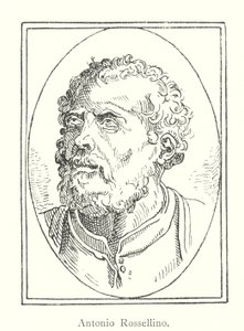 Antonio Rossellino (gravure) door Italian School